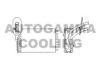 AUTOGAMMA 101776 Heat Exchanger, interior heating